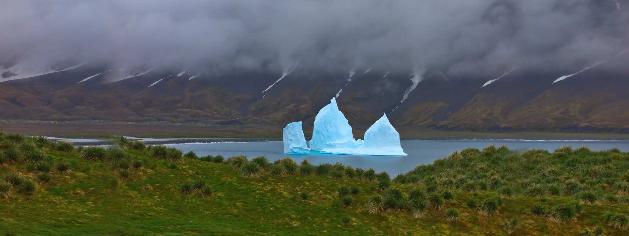 Südgeorgien - gestrandeter Eisberg an der Küste in der Antarktis